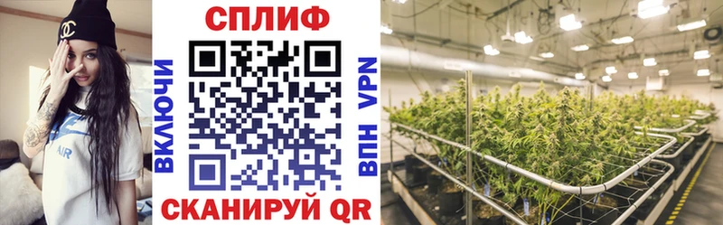 Что такое Барнаул Бутират  МЕФ  Alpha PVP  Канабис  КОКАИН  Псилоцибиновые грибы 