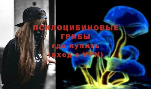 ешки Белокуриха