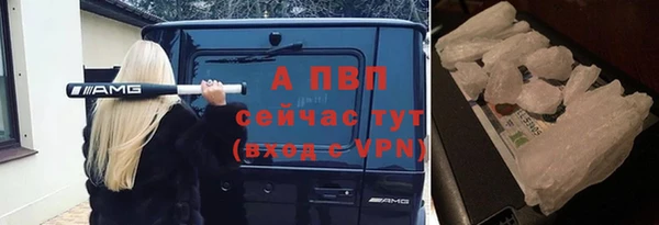 ПСИЛОЦИБИНОВЫЕ ГРИБЫ Беломорск