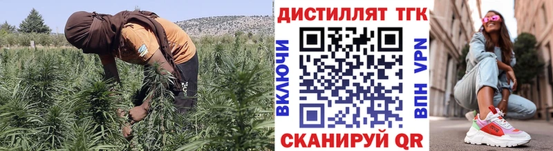 ТГК вейп с тгк Барнаул