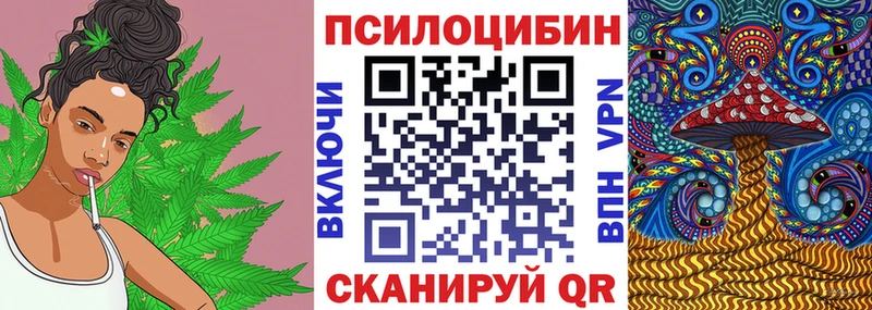 это какой сайт  Барнаул  Псилоцибиновые грибы мицелий  как найти наркотики 